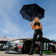 This year’s Daytona 500, where the Monster Girls were out in force. Photo credit: Jonathan Ferrey/Getty Images